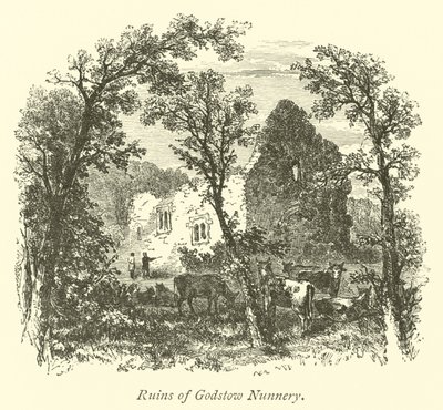 Ruinas del convento de Godstow de English School