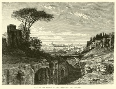 Ruinas del Palacio de los Césares en el Palatino de English School