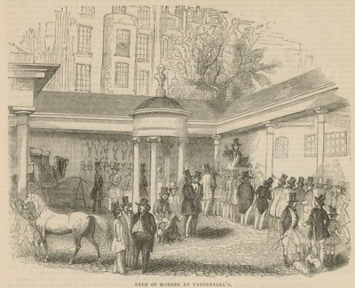 Venta de caballos en Tattersalls de English School