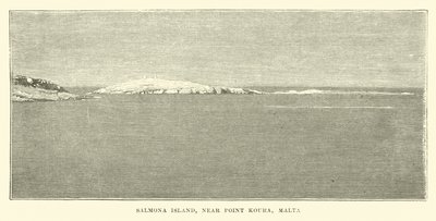 Isla Salmona, cerca del Punto Koura, Malta de English School