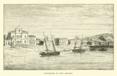 Santarem, en el Amazonas de English School