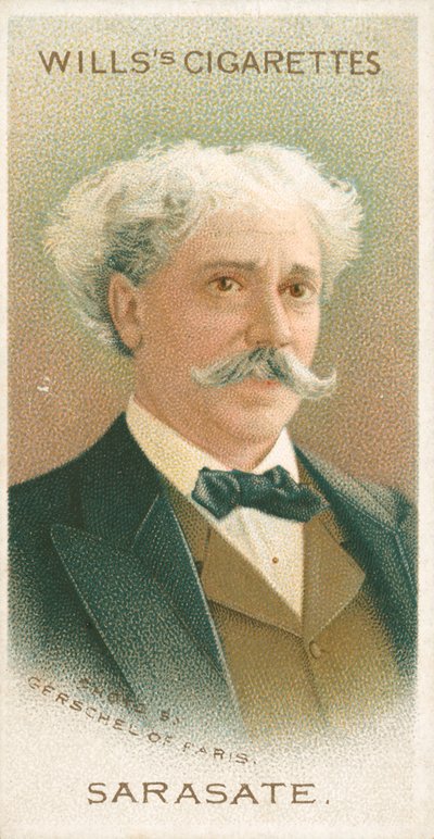 Sarasate de English School