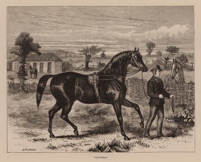 "Saunterer" (grabado) de English School