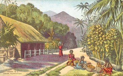 Escena en una plantación de cacao (litografía en color) de English School