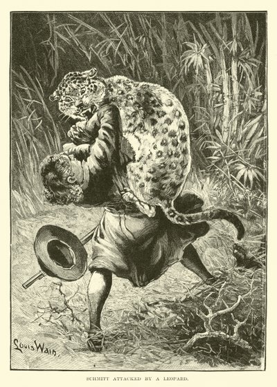 Schmitt atacado por un leopardo de English School