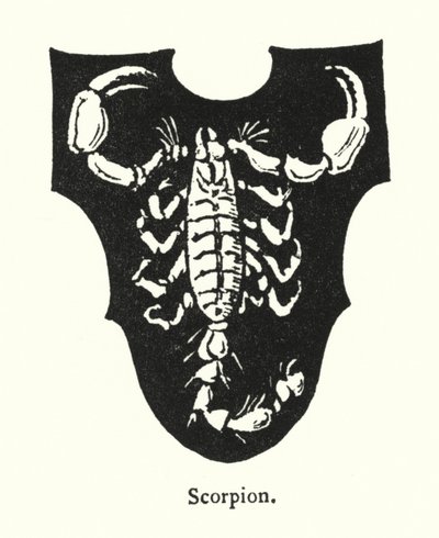 Escorpión de English School
