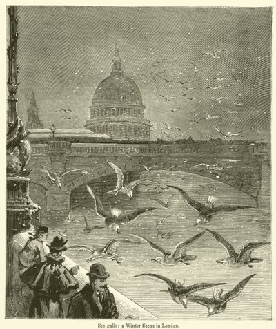 Gaviotas, una escena invernal en Londres (grabado) de English School