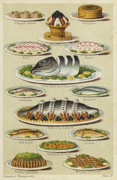Platos de mariscos y pescado de English School