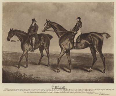 Selim (litografía) de English School
