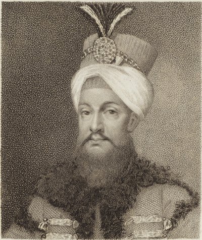 Selim II de English School