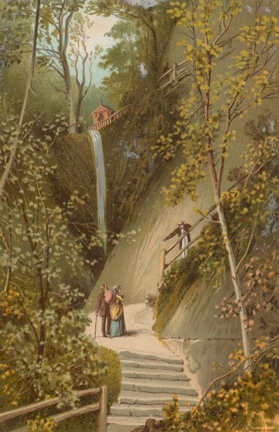 Shanklin Chine--Isla de Wight de English School