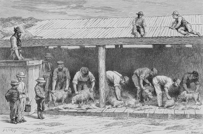 Esquila de ovejas, c.1880, de 