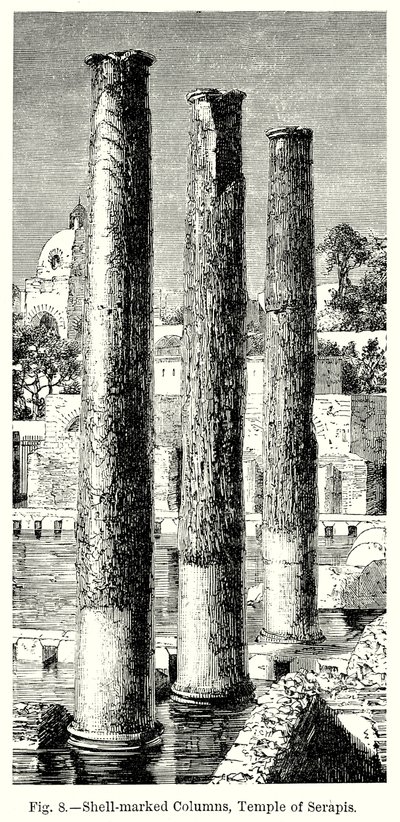 Columnas marcadas con conchas, Templo de Serapis (grabado) de English School