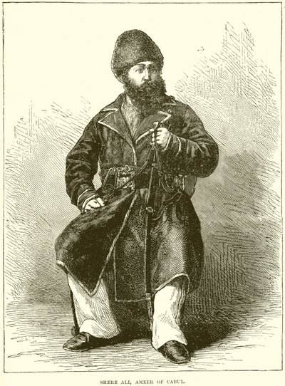 Shere Ali, Emir de Cabul de English School