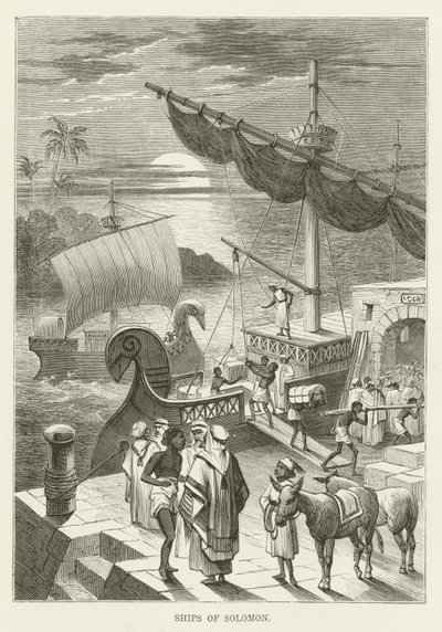 Barcos de Salomón de English School