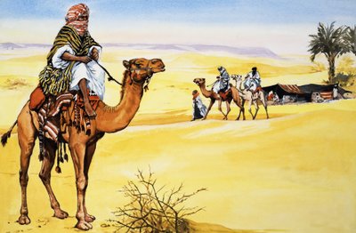 Naves del desierto de English School