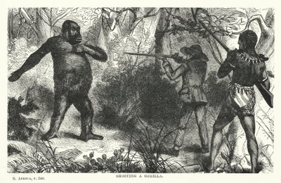 Disparando a un gorila (grabado) de English School