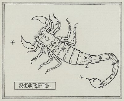 Signos del zodiaco: Escorpio de English School