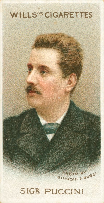 Sigr Puccini de English School