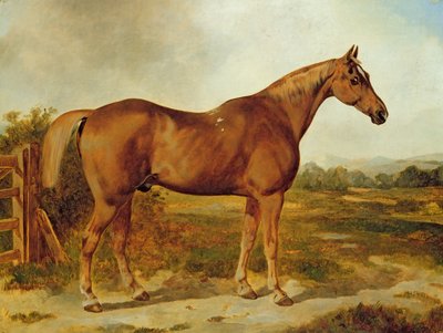 Silvertail, Retrato de un Caballo de English School