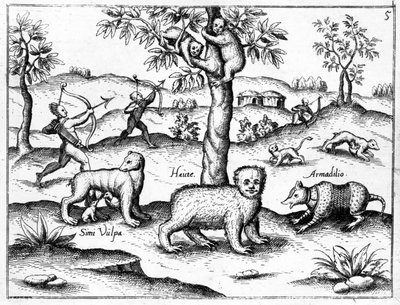 Simi Vulpa, Haute y Armadilio, ilustración de 