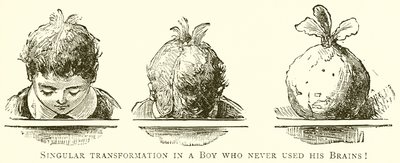 Transformación singular en un niño que nunca usó su cerebro de English School