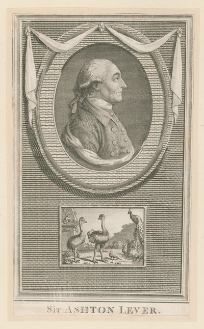 Sir Ashton Lever de English School