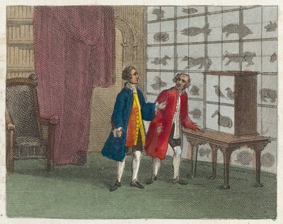 Museo de Sir Hans Sloane (grabado coloreado) de English School