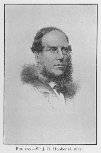 Sir Joseph Dalton Hooker (1817-1911), retrato de English School