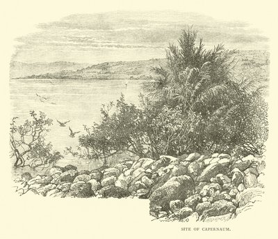 Sitio de Capernaum de English School
