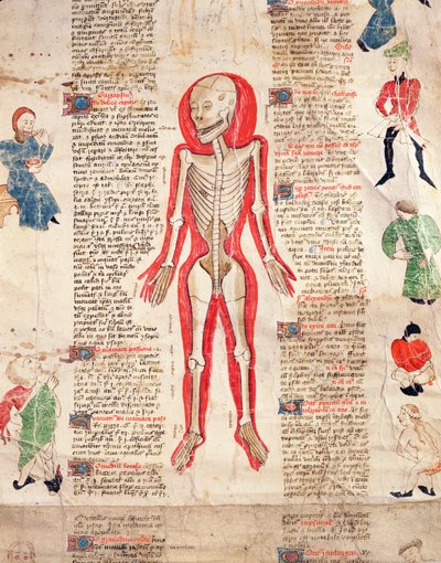Esqueleto, de De arte phisicali e de cirugia de John Ardene, 1412 de English School