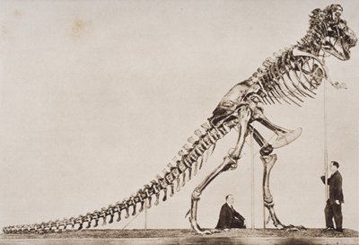 Esqueleto del Tyrannosaurus Rex, en el Museo Americano de Historia Natural, de 