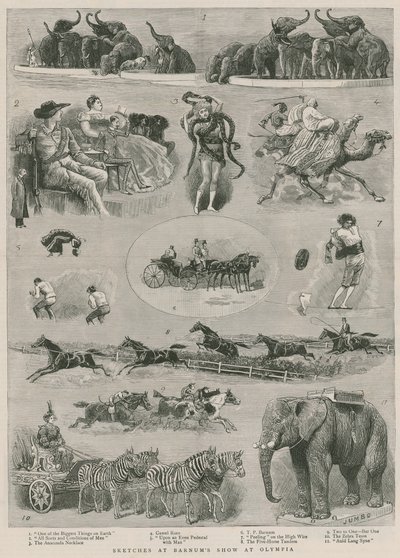 Bocetos en el espectáculo de Barnum en Olympia, Londres de English School