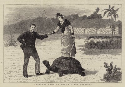 Bocetos de Ceilán, una Tortuga Gigante (grabado) de English School