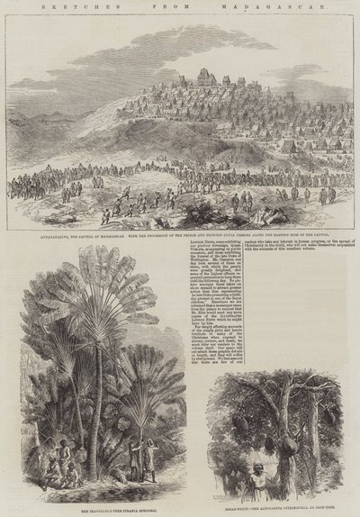 Bocetos de Madagascar (grabado) de English School