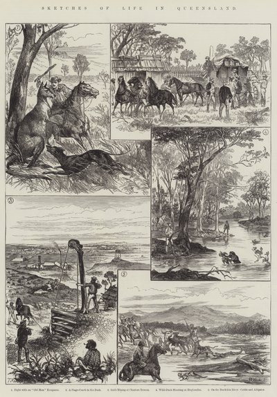 Bocetos de la vida en Queensland de English School