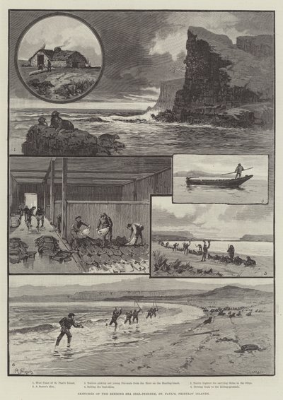 Bocetos de la pesca de focas en el mar de Behring, San Pablo, Islas Pribylov de English School