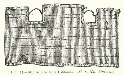 Armadura de listones de California (litografía) de English School