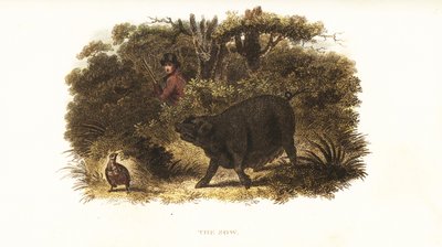 Slut, la cerda entrenada para ser un perro de muestra o perro de caza por Richard Toomer, guardabosques de Sir Henry Mildmay de English School