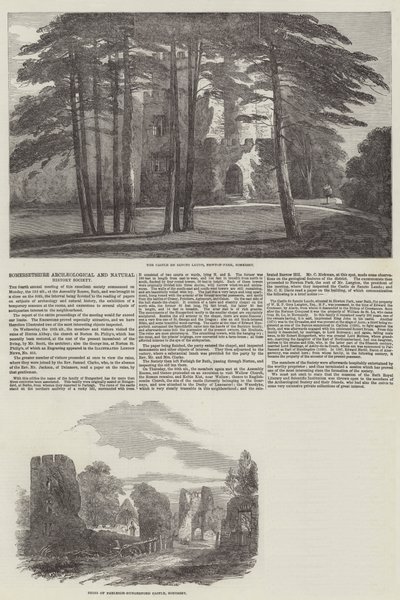 Sociedad Arqueológica e Historia Natural de Somersetshire (grabado) de English School