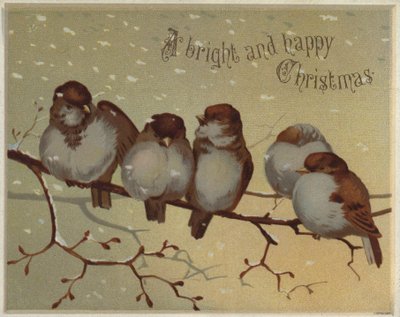 Gorriones sentados en una rama en la nieve (cromolito) de English School