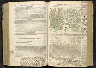Speedwell, página 500-501 de 