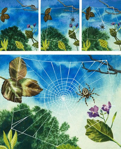 Tela de araña de English School