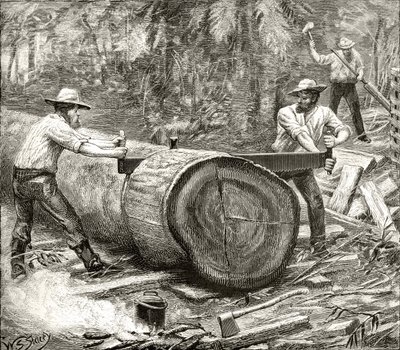 Divisores en el Bosque, c.1880, de 