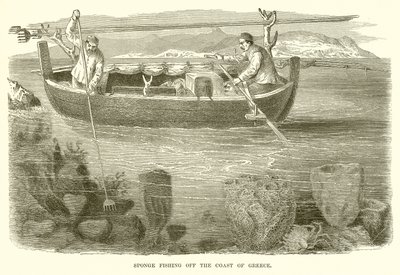 Pesca de esponjas en la costa de Grecia de English School
