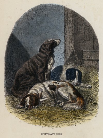 Perros del cazador (grabado coloreado) de English School