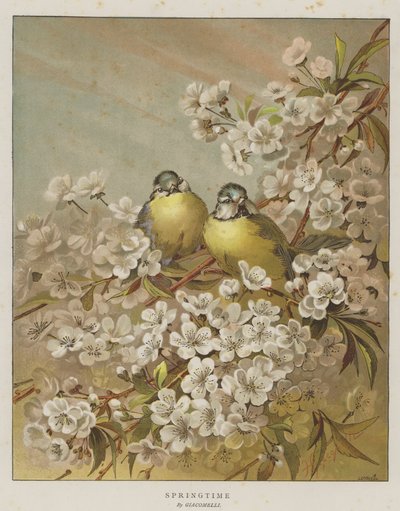 Primavera (cromolito) de English School