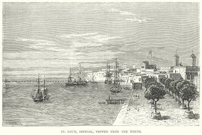 St Louis, Senegal, vista desde el norte (grabado) de English School