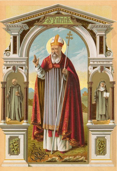 San Patricio de English School