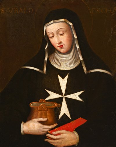 Santa Ubaldesca de English School